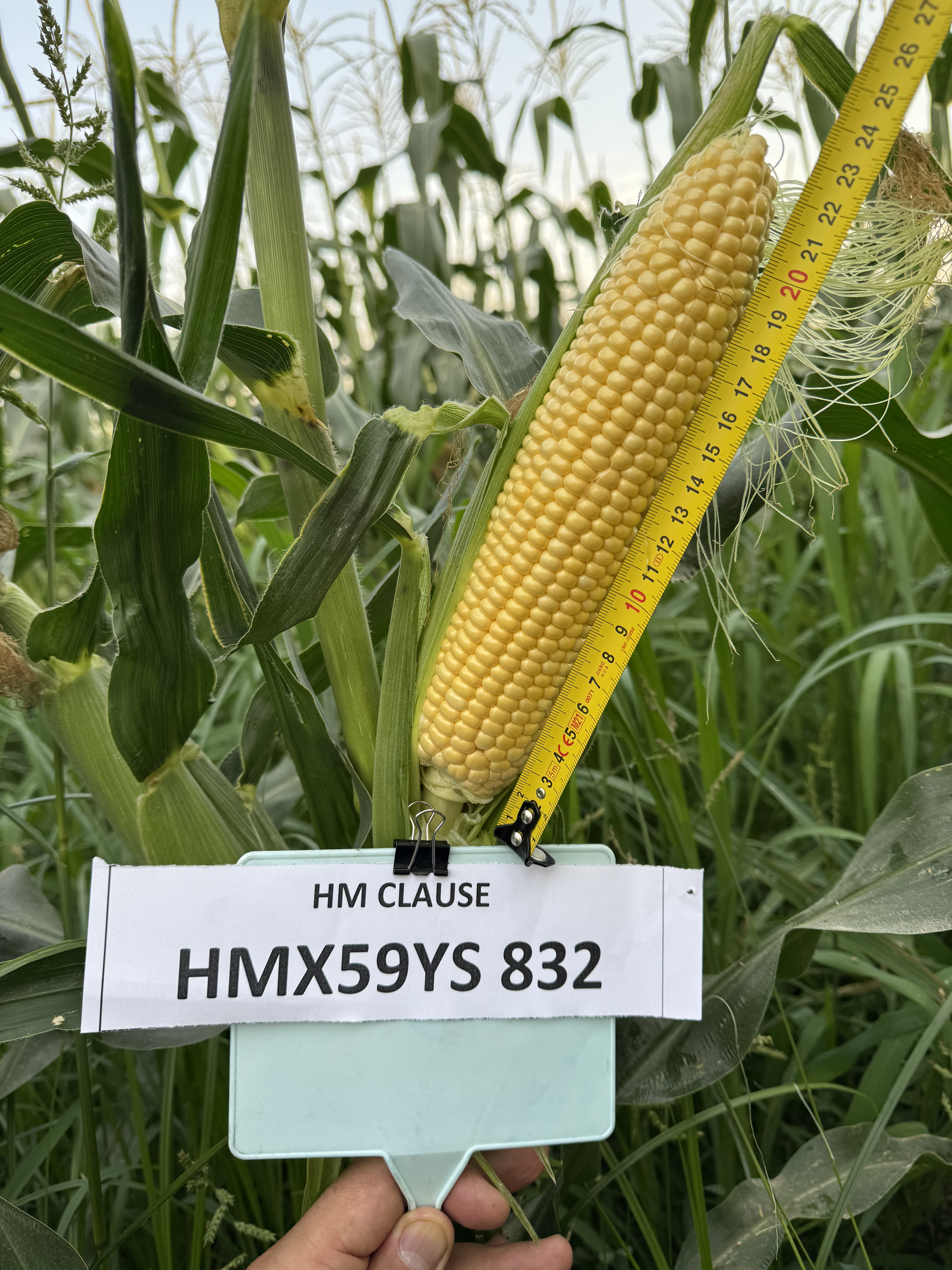 832 F1