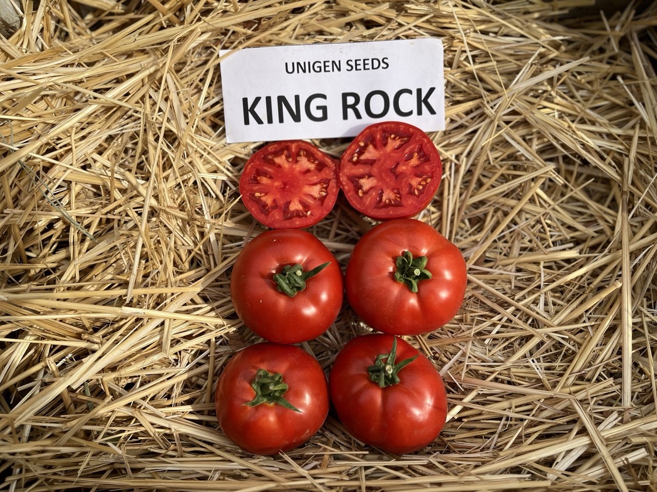 KING ROCK