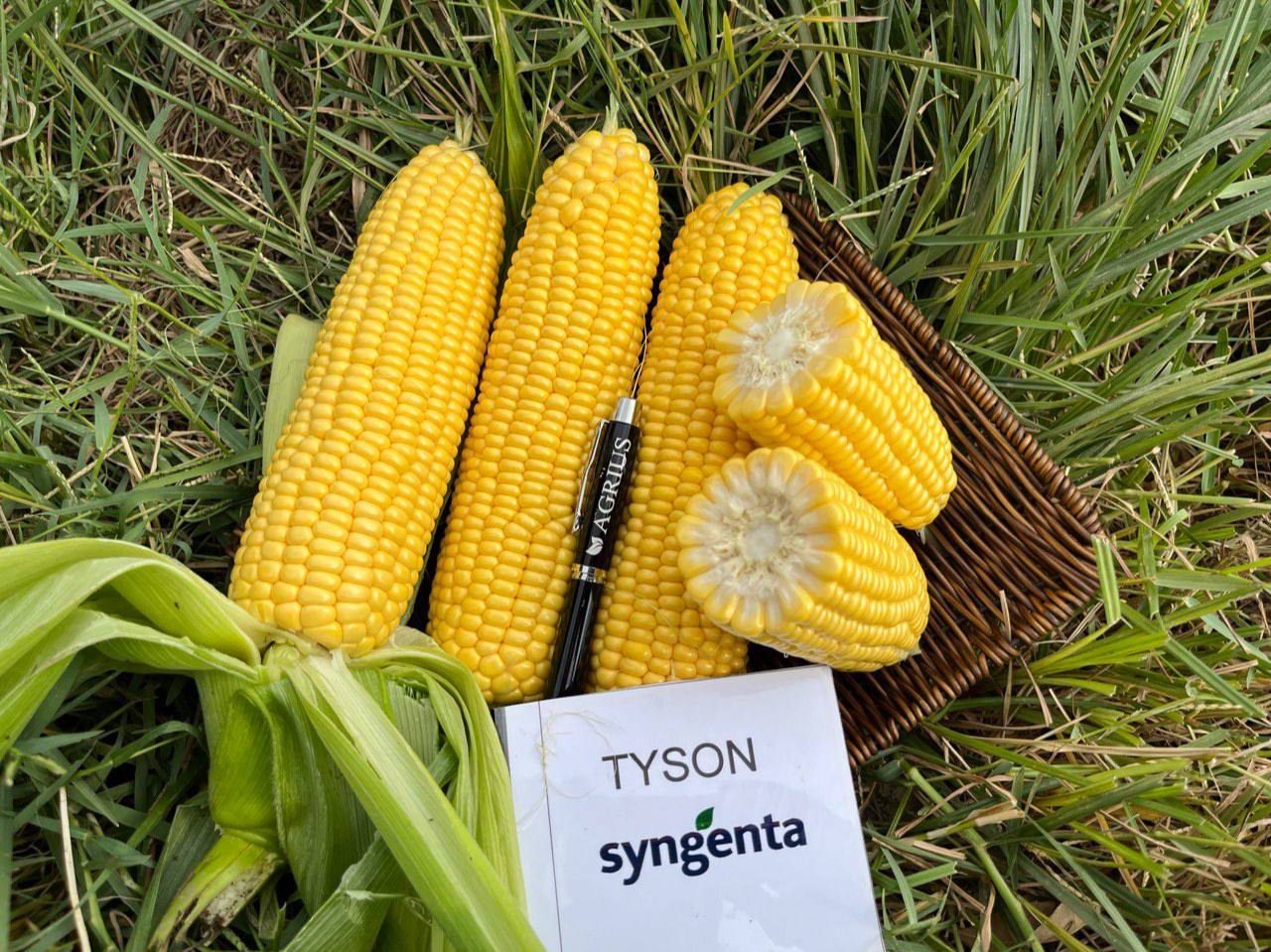 TYSON F1